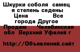 Шкурки соболя (самец) 1-я степень седены › Цена ­ 12 000 - Все города Другое » Продам   . Челябинская обл.,Верхний Уфалей г.